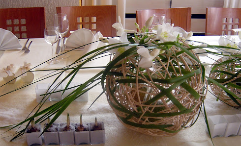 Koch & Christmann – Gärtnerei & Blumenladen (Hauptstandort)