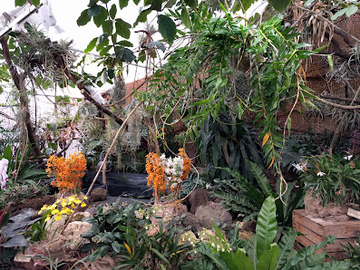 Blumen Janke Gartenbau & Floristik
