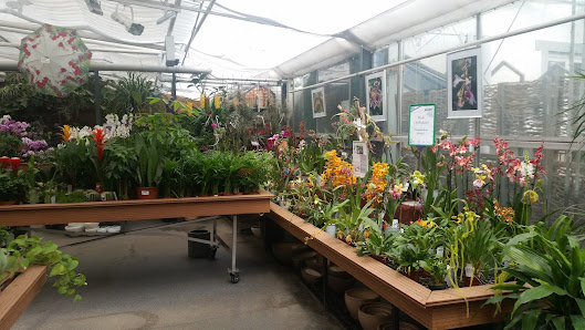 Blumen Janke Gartenbau & Floristik