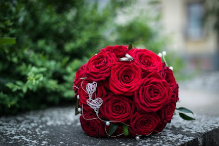 Blumen Scherrer
