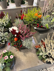 Haffner Blumen