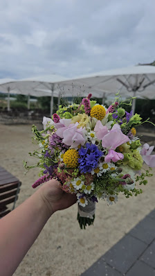 Blumen Jule blüht auf