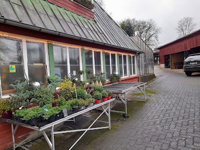 Blumen Leonards