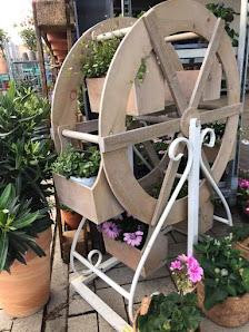 Fehse - Blumen & Pflanzenhandel