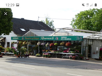 Blumenhaus Averesch