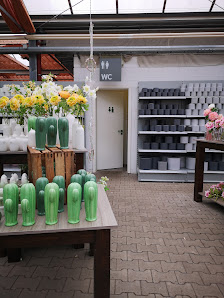Blumen Risse Blumenmarkt Bad Kreuznach