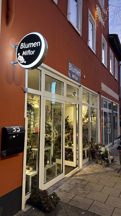 Blumen Miflor