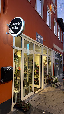 Blumen Miflor