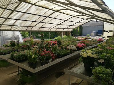 Blumenhaus Schowalter