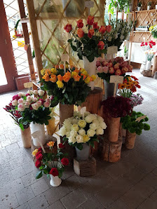 Blumenhaus Schnell Inh. C. v. d. Weiden