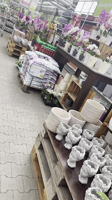 Blumen Risse Blumenmarkt Germersheim