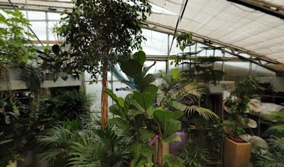 Stoffels - Florale Gestaltungen / Pflanzenhof