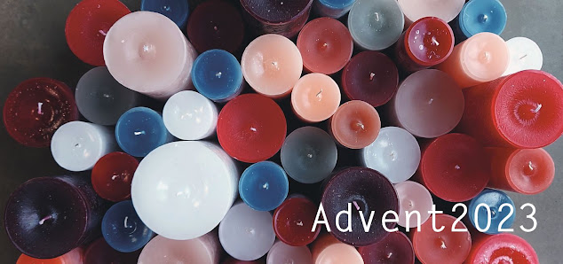 Blatt & Blüte