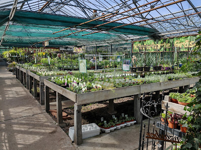 Gartencenter Edesheim GmbH