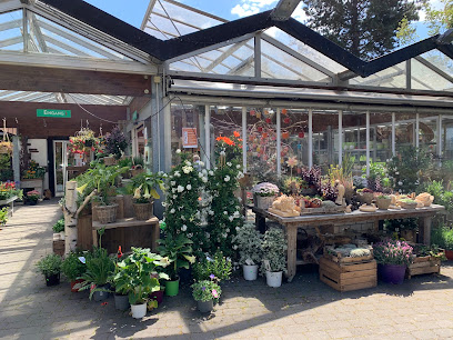 Grützner Blumenkunst