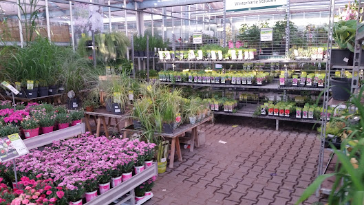 Dehner Garten-Center