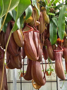 Gartenbau Weilbrenner