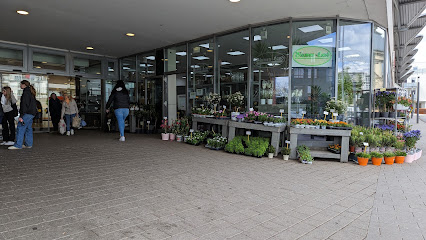 Blumen-Land