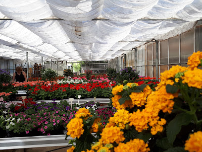Blumenhaus Rohr