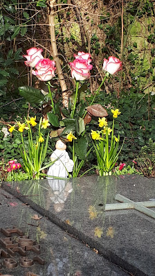 Heiser Neis