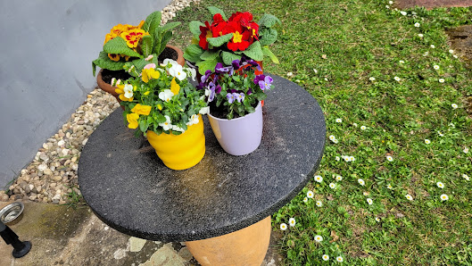 Blumen Konrad