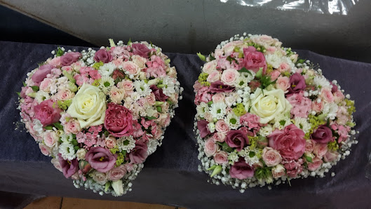 Blumen Diana