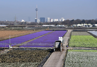 Landschaftsgestalter in Düsseldorf