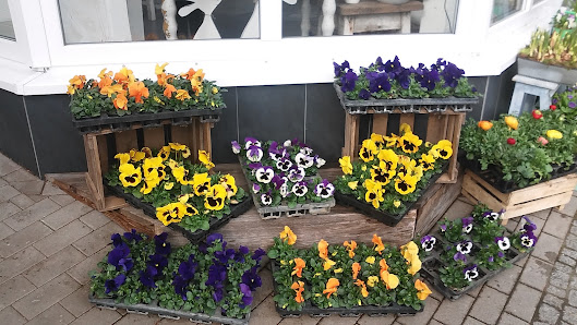 Zängry Blumenhaus - Mehlingen