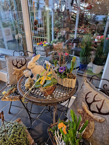 Blumen Neu