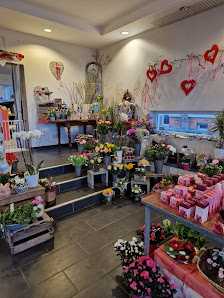 Blumen Neu