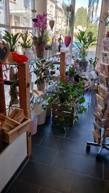 Blumen Neu
