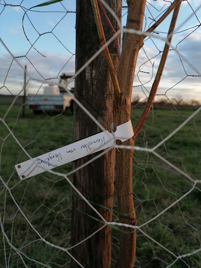 Landschaftsgestalter in Ingelheim am Rhein