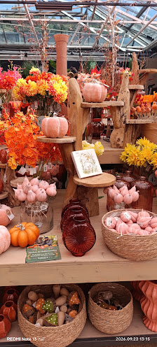 Schley's Blumenparadies Ratingen