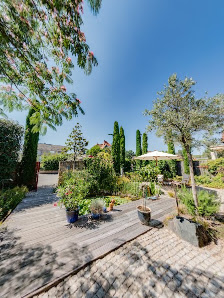 Wollesen Garten- und Landschaftsgestaltung