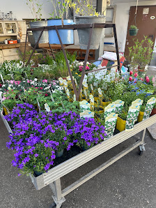 Jessis Gartenscheune
