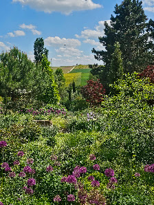 Nachtigallenhof Staudengarten Garten-Café Gärtnerei