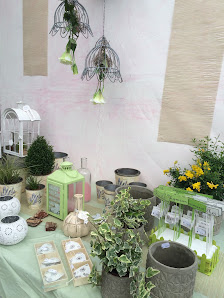 Gärtnerei & Floristik Zimmermann GmbH