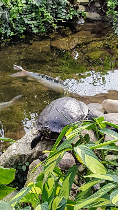 Gartengestaltung Gietzen