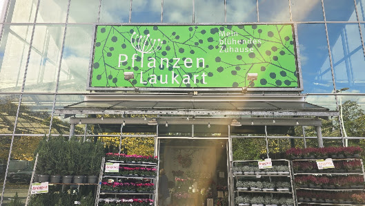 Pflanzen Laukart