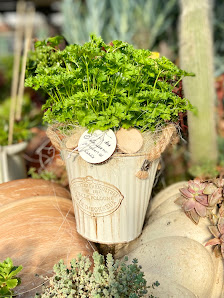 Blumen Irmiter