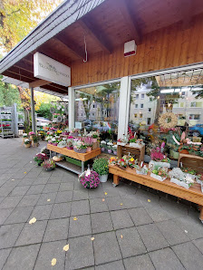 Blumen Schneider