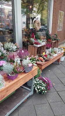 Blumen Schneider
