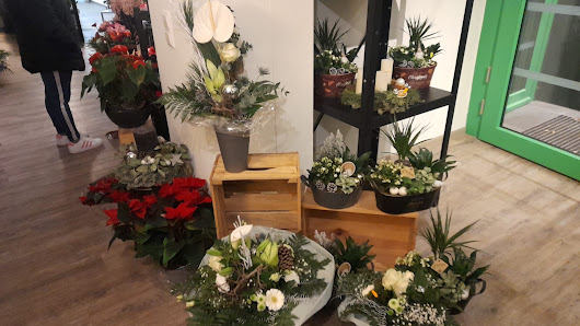 Julia Luy Blumengeschäft