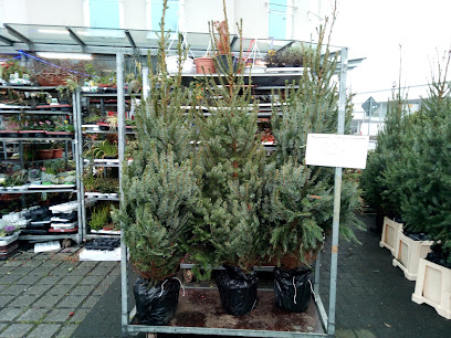 Gerlinde´s Flowershop