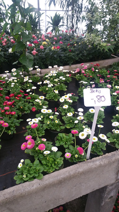 Blumenhaus und Gartenbetrieb Außem GbR