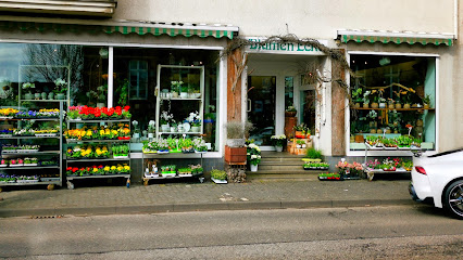 Blumen Ecke