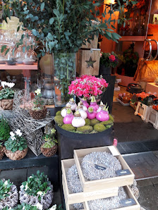 PURE Düsseldorf Blumengut Wohngut