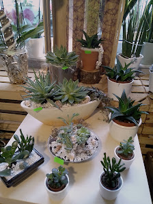 Gerlindes Flowershop