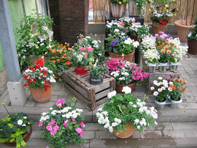 Blumenhof Bakker