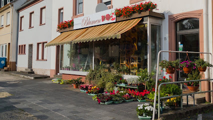 Gärtnerei-Blumenhaus Inh. Ignatz Schlaghecken